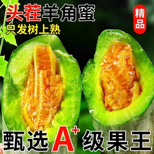 包邮 博洋 现摘正宗脆甜蜜瓜香瓜羊角脆新鲜水果 羊角蜜甜瓜当季