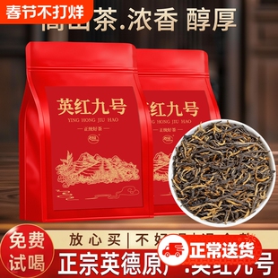 英红九号茶叶正宗广东原产英德红茶高香型功夫红茶新茶送礼自喝