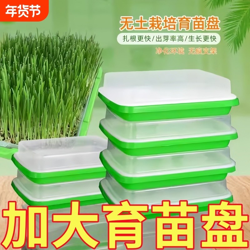 水培网格盘蔬菜发芽盆芽苗菜豆苗育苗盘无土栽培设备阳台种植架,鲜花速递/花卉仿真/绿植园艺,育苗盘/营养钵,淘宝优惠券,粉丝福利购,淘宝优惠卷