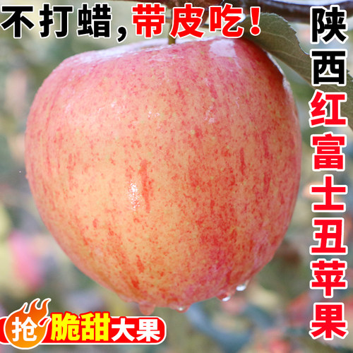 陕西红富士苹果10应当季斤新鲜水果整箱高山脆甜冰糖心丑平果批发