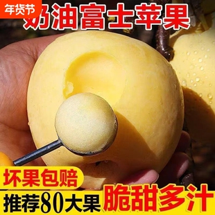正宗烟台奶油富士苹果冰糖心脆甜黄金富士整箱批发新鲜多汁大果
