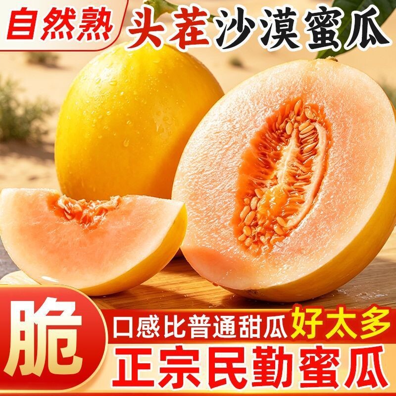 甘肃民勤沙漠蜜瓜脆甜黄河蜜瓜图片