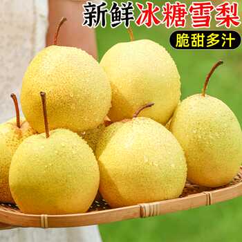 历史新低!正宗山西冰糖雪梨特产酥脆甜梨子产地直发现摘新鲜水果整箱蜜梨实付11元到手包邮 历史新低!正宗山西冰糖雪梨特产酥脆甜梨子产地直发现摘新鲜水果整箱蜜梨实付11元到手包邮