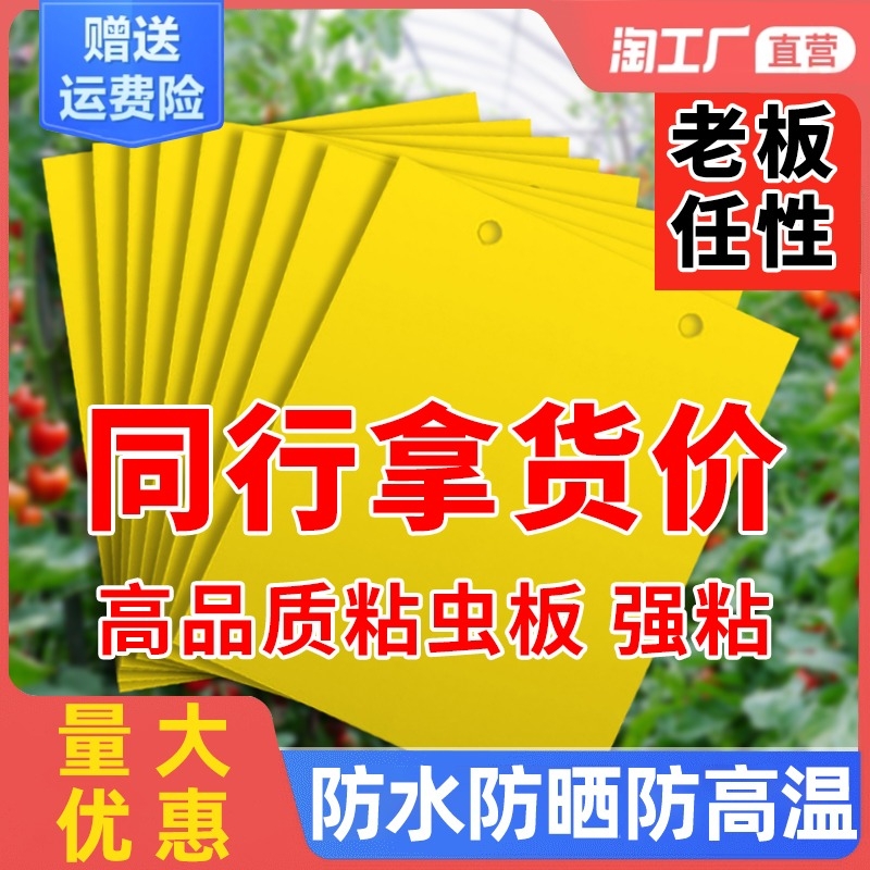 黄板双面粘虫蓟马纸贴小黑果蝇