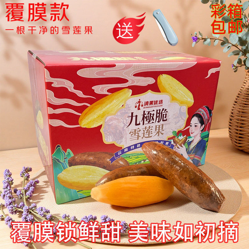 覆膜版彩箱[一根干净的雪莲果]云南天山黄心雪莲果单果包裹保鲜膜,水产肉类/新鲜蔬果/熟食,雪莲果,淘宝优惠券,粉丝福利购,淘宝优惠卷