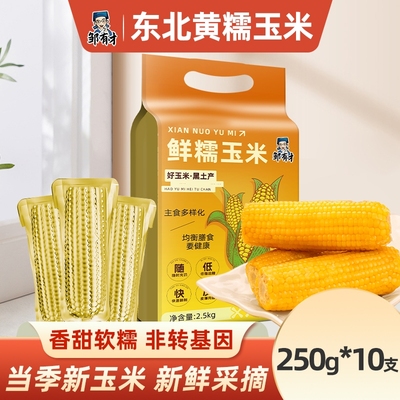 东北黄糯玉米新鲜采摘当季新货