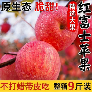 正宗山东红富士苹果水果新鲜当季 红富士多汁脆甜大苹果
