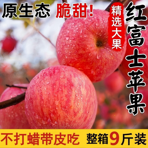 正宗山东红富士苹果水果新鲜当季红富士多汁脆甜大苹果