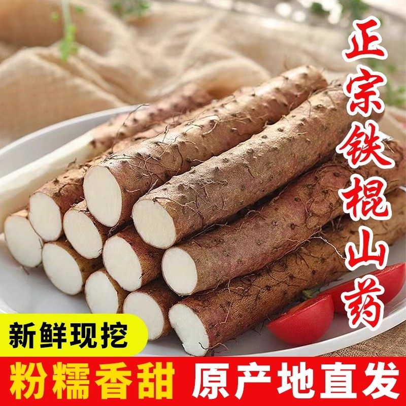 河南焦作垆土铁棍山药温县正宗铁杆淮山药新鲜怀山药粉糯干面包邮
