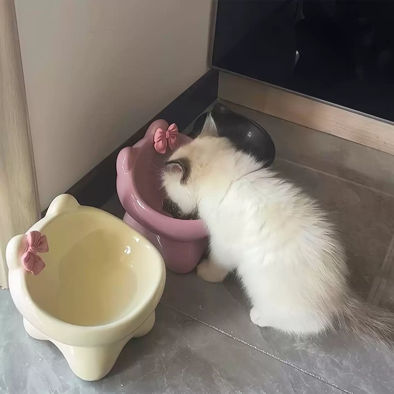 猫碗陶瓷碗可爱猫食盆喝水猫粮罐头保护颈椎不易打翻防黑下巴狗碗