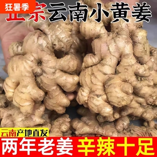 当季小黄姜【1.5kg 带箱辛辣十足】