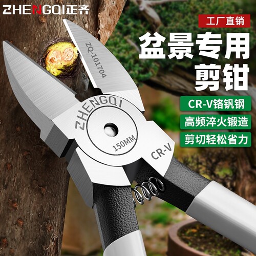 【小红书爆款】盆景专用水口剪钳
