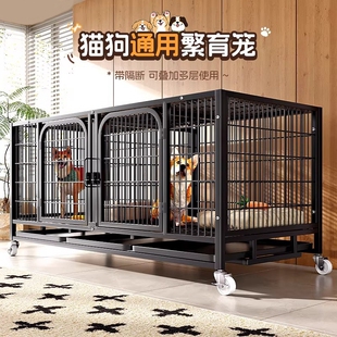 狗笼子繁殖笼大中小型犬寄样繁育带隔断厕所托盘宠物店子母鸽子笼
