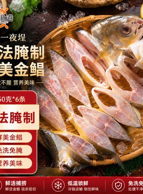 恒兴食品一夜埕金鲳鱼海鲜腌制咸鱼粤菜广式冷冻湛江袋装水产渔港