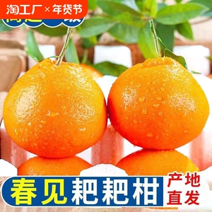 四川春见耙耙柑当季新鲜水果精选当季新鲜水果现摘现发美味可口