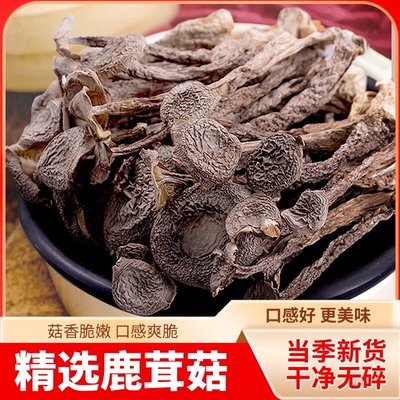 特级新货鹿茸菇干货煲汤炖汤食材无添加家用菌类组合虫草煲汤批发