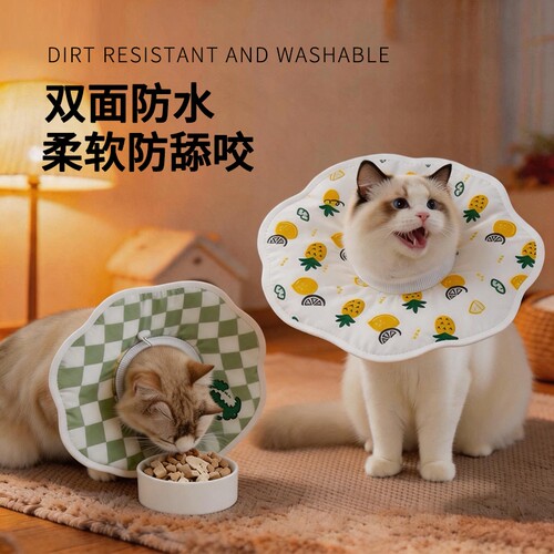 伊丽莎白圈猫咪绝育项圈防咬防舔