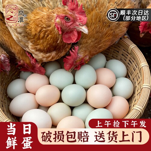 农家散养土鸡蛋顺丰到家每日鲜