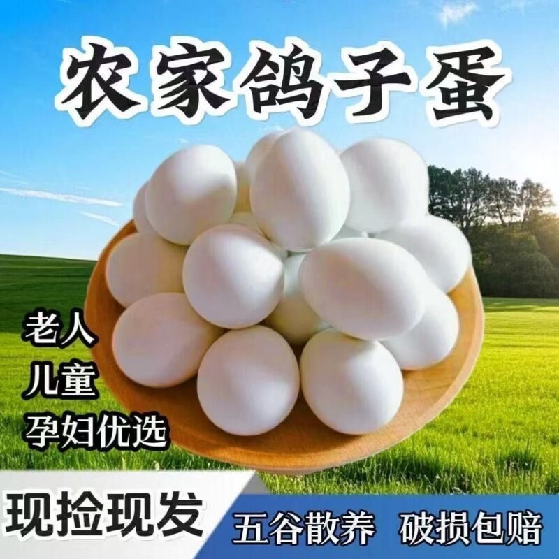 正宗新鲜鸽子蛋草鸽初生蛋农家五谷杂粮散养土鸽蛋儿童孕妇鸽子蛋