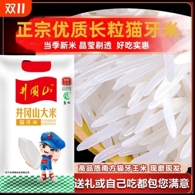 喷香猫牙米长粒香米|千人加购