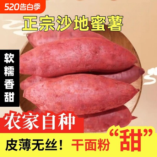 东方甄选小香薯红薯蜜薯黄心地瓜番薯烤红薯当季新鲜蔬菜沙地自种