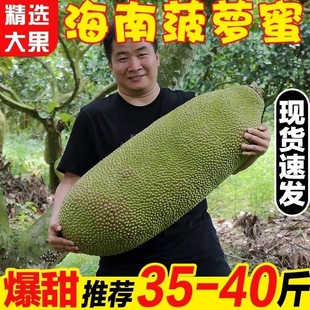 红 包邮 特产新鲜水果40斤一整个木波罗蜜 海南三亚黄肉菠萝蜜当季