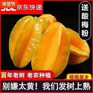 顺丰京东杨桃水果下河彩箱礼盒新鲜孕妇水果大果纯甜多汁树上熟