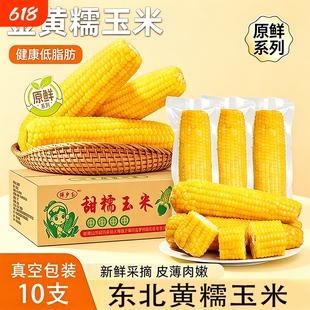 黄糯玉米新鲜采玉米软糯香甜东北苞米主食早餐代餐低脂真空装黄金