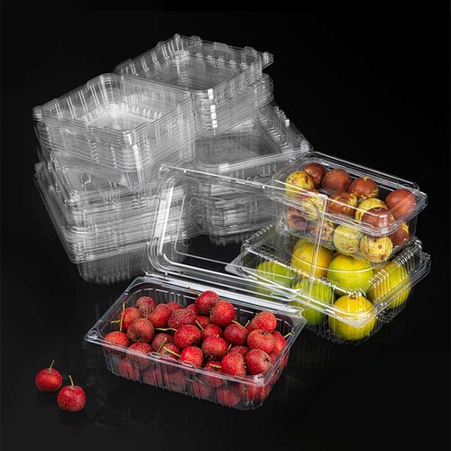 一次性透明果蔬盒食品保鲜盒水果草莓蓝莓塑料水果盒可降解环保