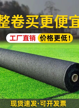 假草坪仿真绿色草皮地毯户外人造塑料垫子地垫阳光房屋顶隔热围挡