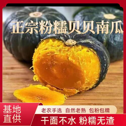 贝贝南瓜老南瓜板栗味宝宝辅食孕妇可食用整箱装甜糯粉糯香甜粗粮
