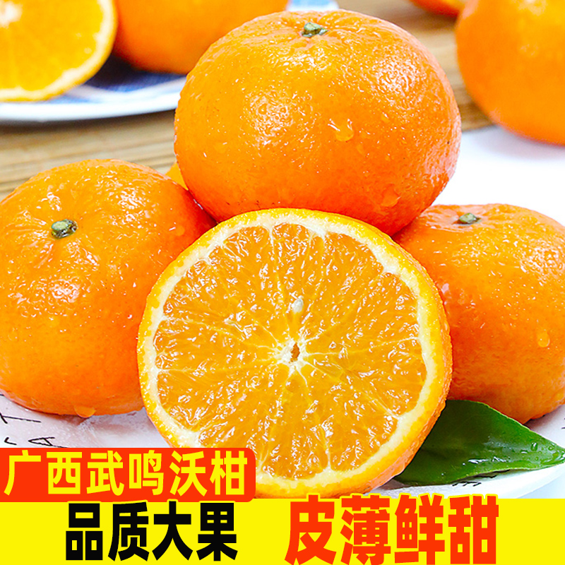 正宗武鸣沃柑纯甜精品新鲜水果应季广西柑橘橙时令桔子薄现摘包邮