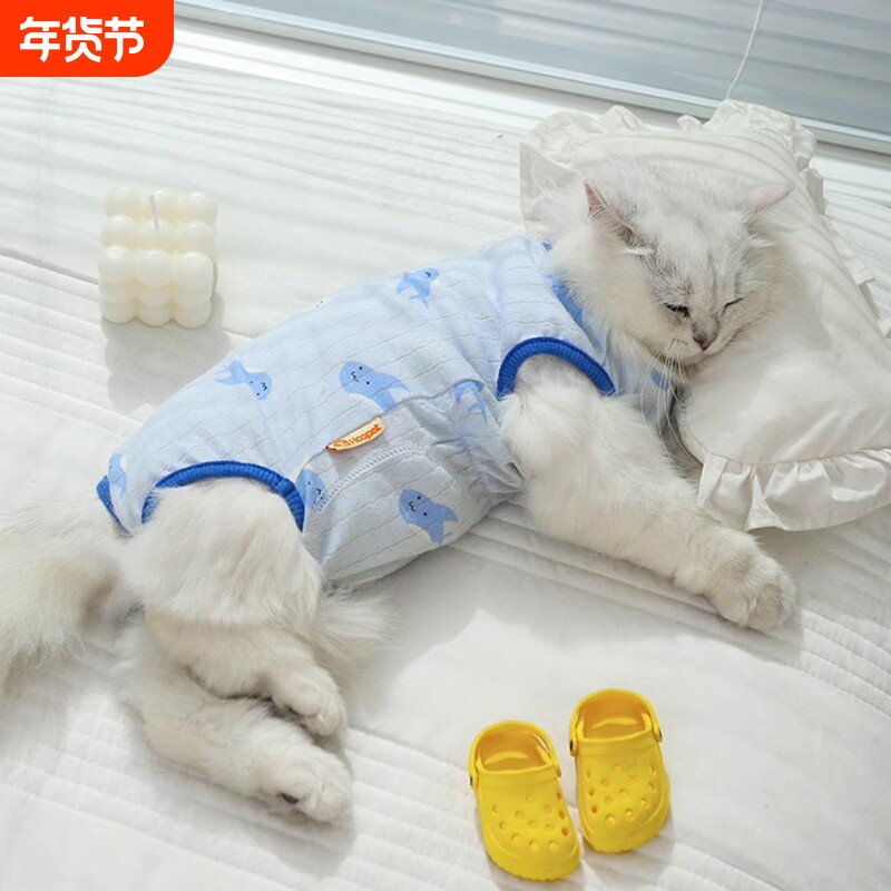 猫咪绝育服母猫手术服衣服透气戒奶服断奶服公猫防舔术后宠物猫猫