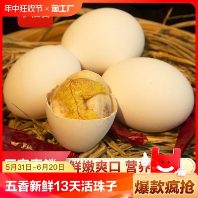 新鲜13天活珠子鸡胚蛋半喜蛋钢化非毛鸡蛋真空独立包装香辣五香