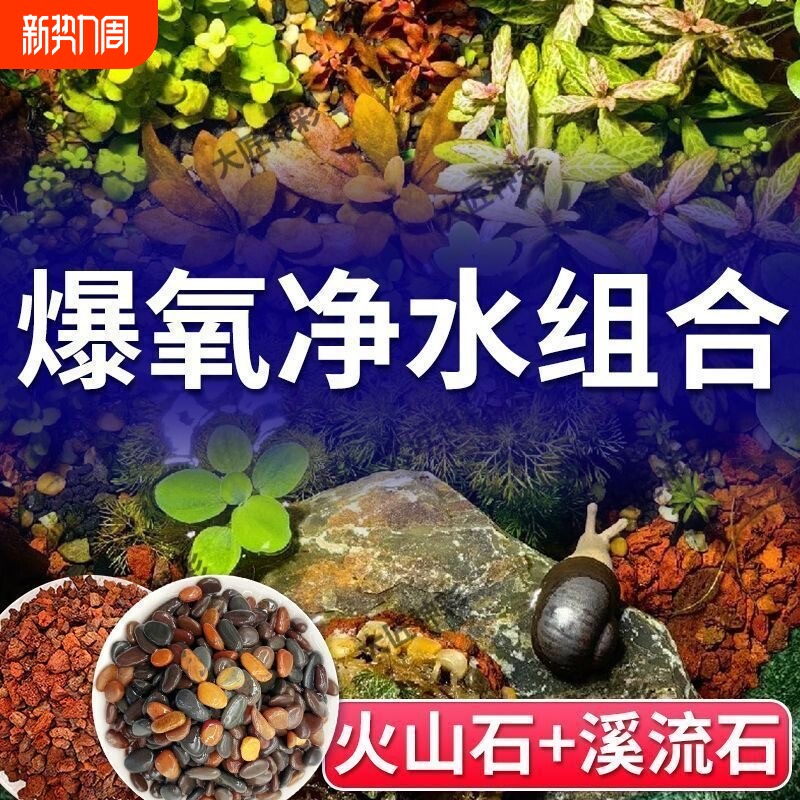 原生火山石溪流石鱼缸装饰套餐原生造景底砂铺底专用石子庭院养鱼