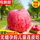 包邮 正宗陕西延安洛川苹果新鲜水果当季 红富士非冰糖心整箱脆甜