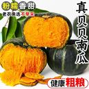 正宗贝贝南瓜山东板栗小南瓜婴儿辅食老南瓜惠和9斤粉糯香甜营养