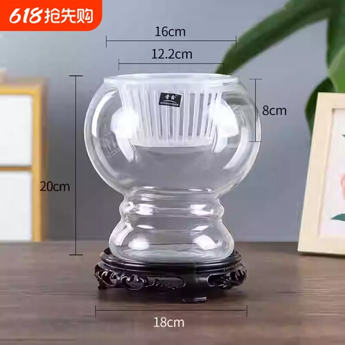 玻璃水培绿植花瓶|超2000次加购