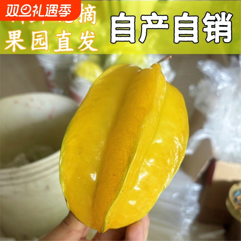 广东杨桃新鲜水果当季热带孕妇