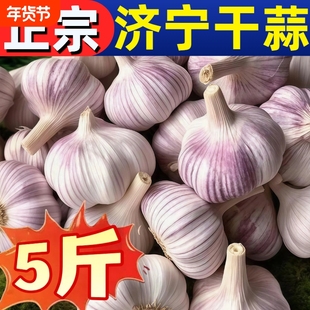 【天天低价】大蒜头批发干蒜紫皮大蒜头干蒜特大新干大蒜批发价