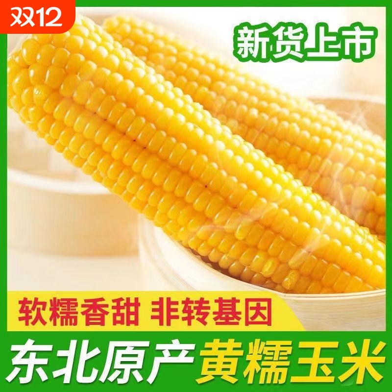 黄糯玉米东北真空包装黏玉米棒黄糯苞米现摘甜粒粘真空装早餐即食