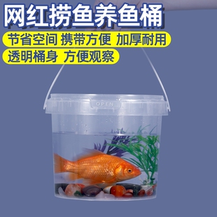 儿童户外捞鱼桶带盖养鱼养龟桶家用幼儿园出游摆摊小型透明塑料桶
