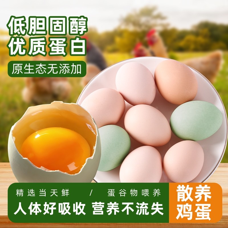 新鲜绿壳蛋乌鸡蛋农家散养土鸡蛋柴鸡蛋草鸡蛋青皮蛋营养月子鲜蛋