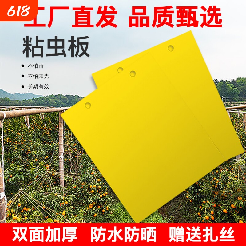 黄板双面粘虫板果蝇诱虫板菜地驱虫神器驱蚊蝇针蜂室内捕虫果树