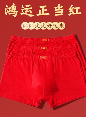 大红色内裤结婚短裤本命年平角裤