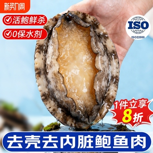 鲍鱼肉鲜活冷冻去牙去壳新鲜活特大鲍去内脏火锅食材海鲜水产带壳
