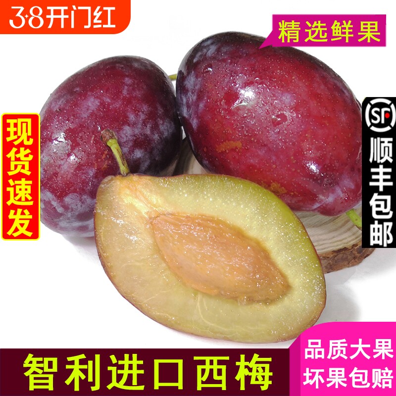 现货 智利西梅大果甜李子新鲜水果孕妇法兰西西梅当季批发包邮