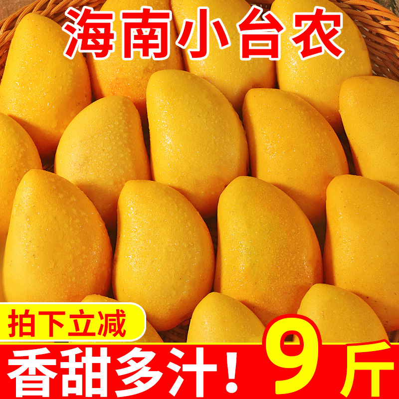 【新鲜现货】海南小台农芒大果
