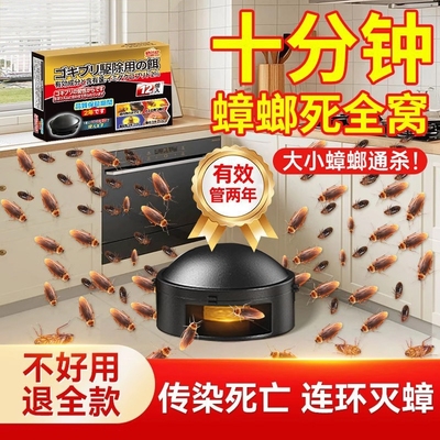 断货款蟑螂药!有效灭蟑传染死亡
