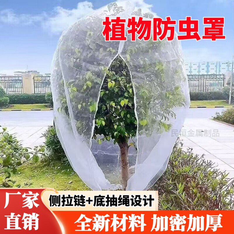 新款防虫网罩莲雾樱桃杨梅蓝莓果树防鸟防果蝇防蚊袋透气透光加厚
